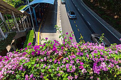 第26届DICE游戏大奖提名名单公布 《战神：诸神黄昏》获11项提名